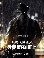 开局天降正义,我竟被FBI盯上TXT