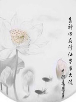 靠种田在修仙界当大佬 百度网盘