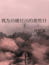 我为功德付出的那些日子 小说
