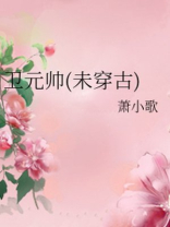 《[未穿古]卫元帅》