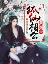 二胎界定