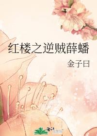 红楼之逆贼薛蟠小朱是谁