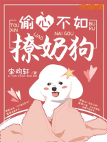 偷心男神撩不停免费阅读