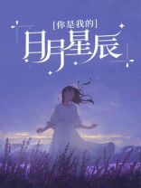 你是我的日月星辰小说