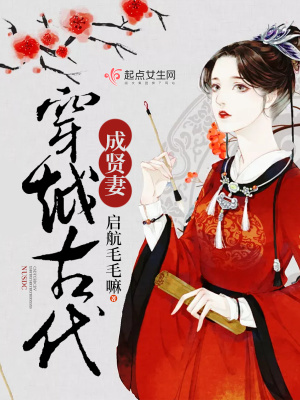 穿越古代贤妻孩子科举小说