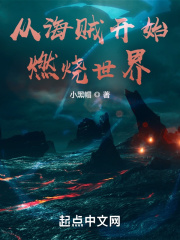 从海贼开始燃烧世界百科