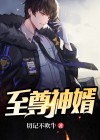 至尊神婿叶昊郑漫儿全集免费阅读狼牙土豆