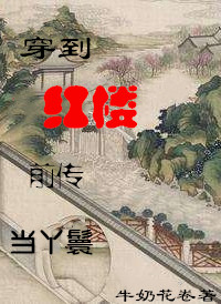 穿到红楼前传当丫鬟TXT百度云
