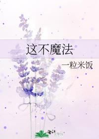 这不魔法txt