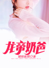 龙帝奶爸在都市