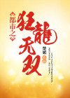 都市之狂龙无双罗天阙