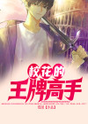 护花王牌高手漫画