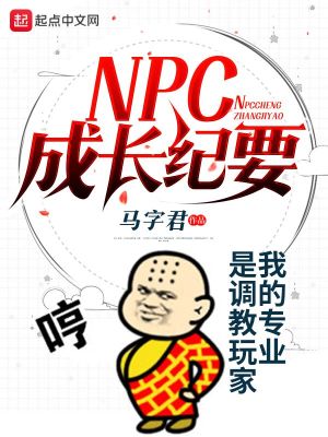 npc等级成长
