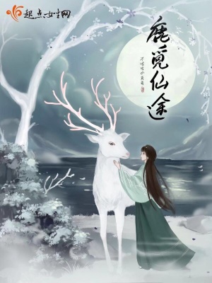 觅仙途小说