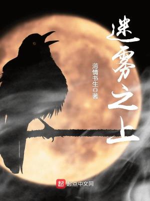 迷雾之上小说