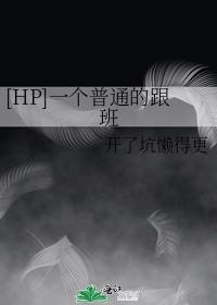 一个普通的跟班HP