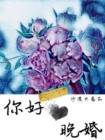 小说晚婚的结局