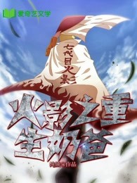 火影之重生岩忍