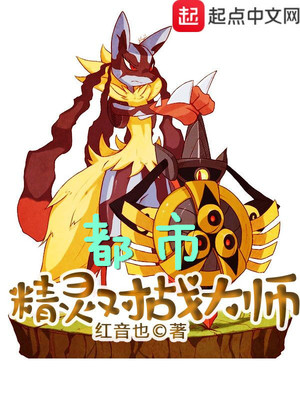 都市精灵对战大师 小说