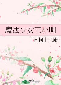 魔法少女王小明 南柯十三殿
