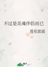 不过是灵魂伴侣而已什么意思