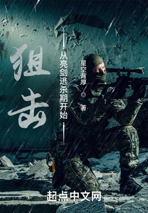狙击从亮剑逃杀期开始 小说