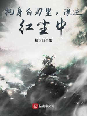 托身白刃里,浪迹红尘中 小说