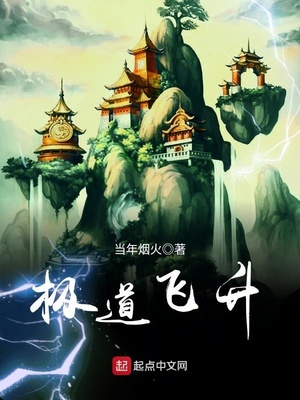 极道飞升 小说