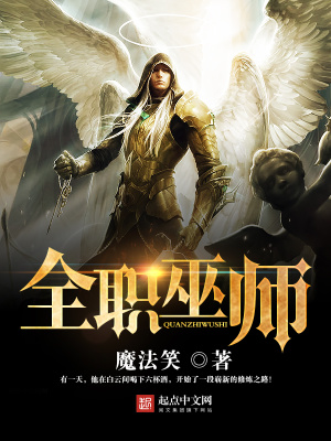 全职法师议员