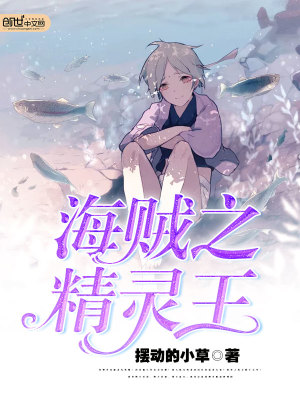 海贼王之精灵国度 小说