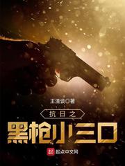 抗日之枪神小说