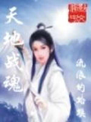 天地战魂 小说