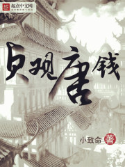 贞观唐钱TXT下载