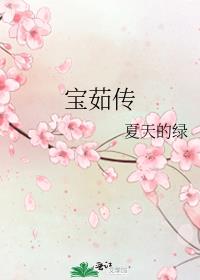 宝茹传男女主是谁