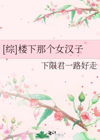 楼下那个女人小说免费阅读