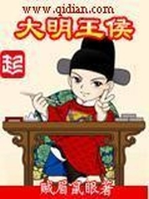 大明王侯小说