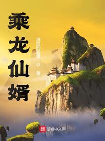 乘龙仙婿百度网盘下载