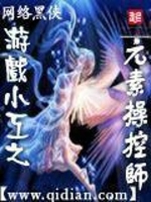 游戏小工之元素操控师 精校