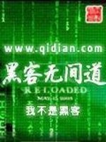黑客无间道 我不是黑客
