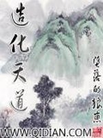 造化天道 小说