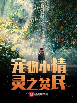 宠物小精灵之贫民 小说