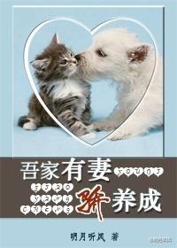 吾家有妻骄养成爱做梦的小说