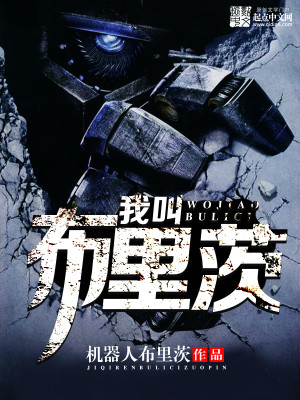 我叫布里茨精校版