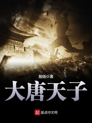 大唐天子是谁
