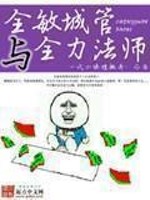 全敏城管与全力法师百科