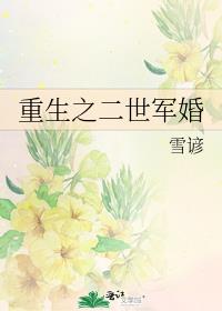 重生之二世军婚