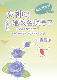 全职女神 小说