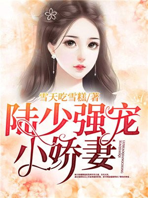 陆少宠妻超强势