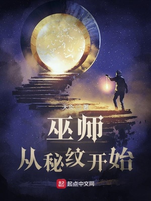 巫师:从秘纹开始 十大芯片巫师小说