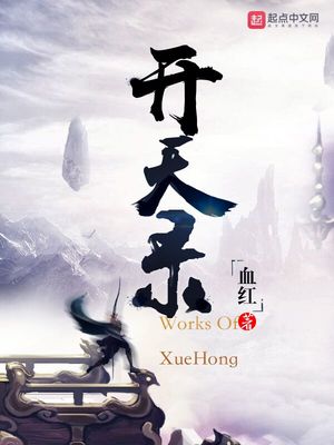 开天录小说